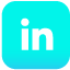 linkedin Icon